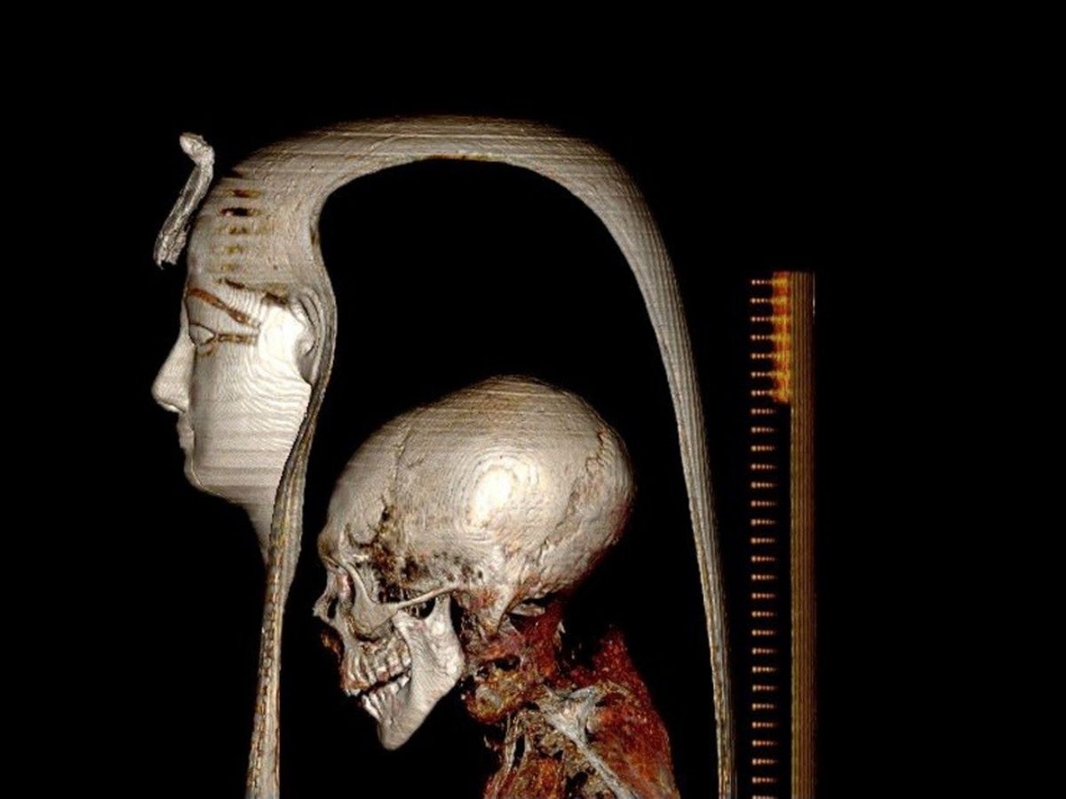 Egyptian pharaoh's 3,500-year-old mummy gets 'digitally unwrapped' for the first time